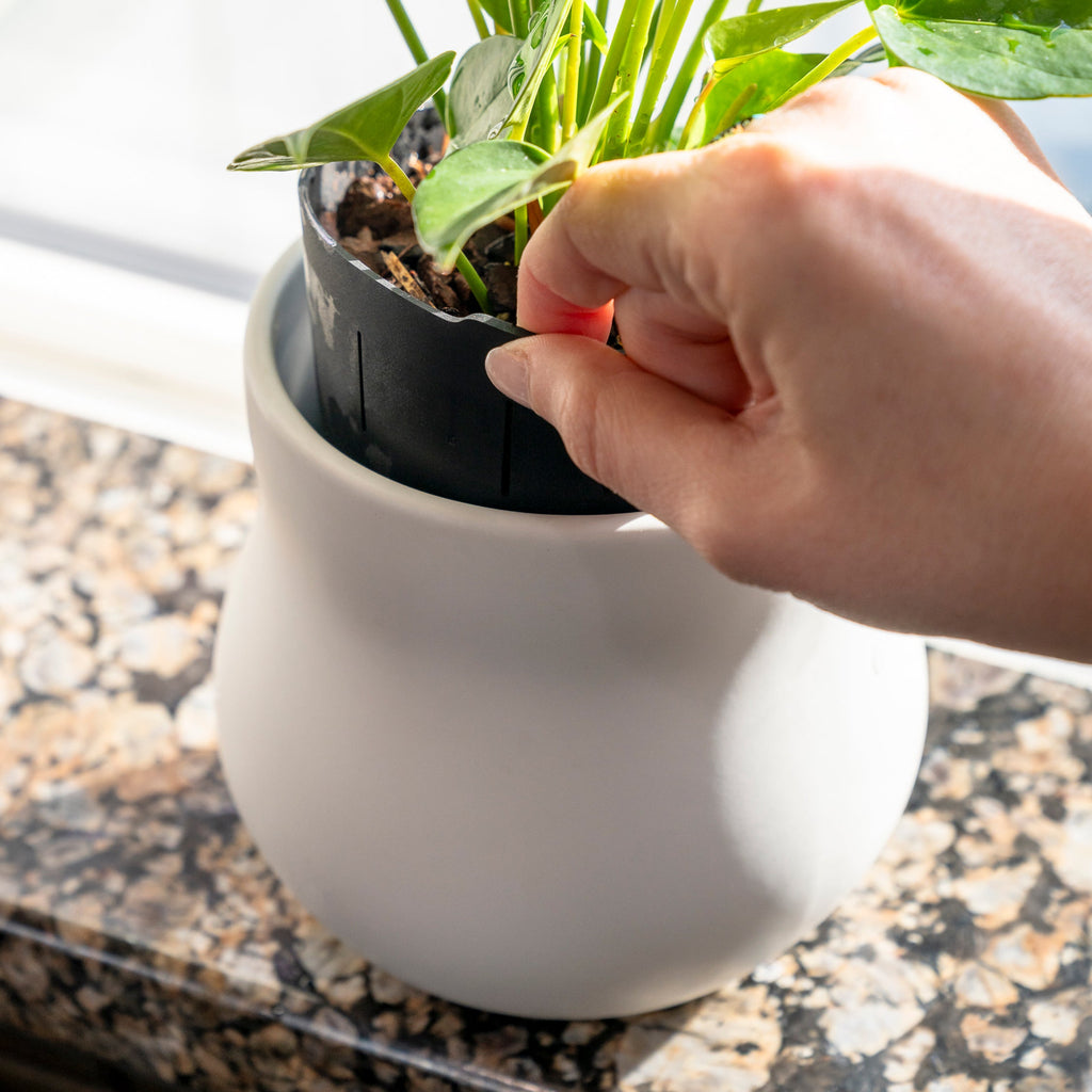 Alabaster White Ceramic Planter