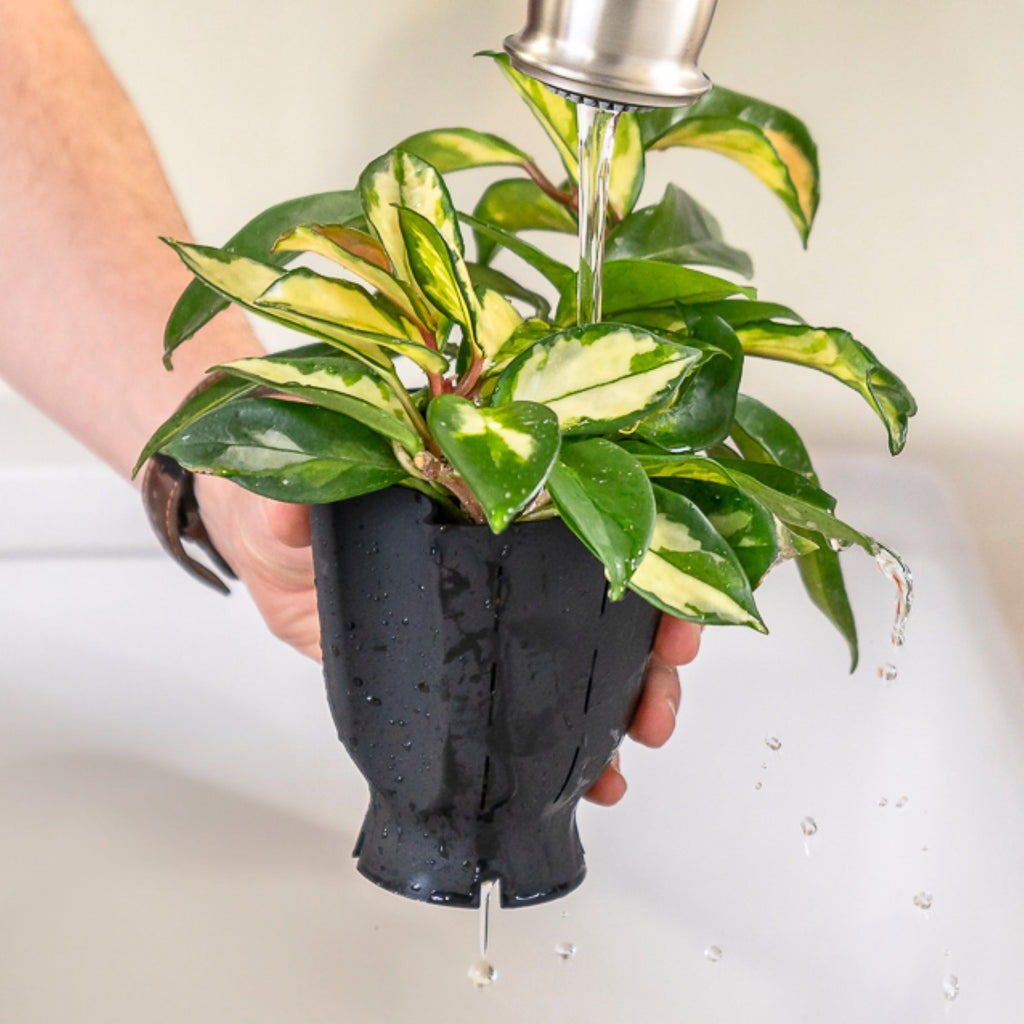 Forest Green Ceramic Planter